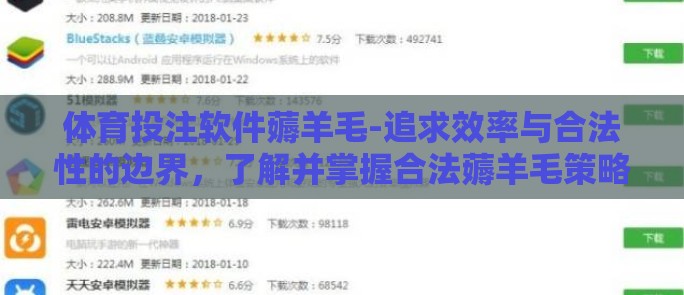 体育投注软件薅羊毛-追求效率与合法性的边界，了解并掌握合法薅羊毛策略的重要性