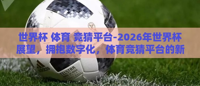 世界杯 体育 竞猜平台-2026年世界杯展望，拥抱数字化，体育竞猜平台的新时代浪潮