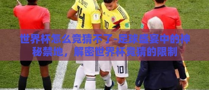 世界杯怎么竞猜不了-足球盛宴中的神秘禁地，解密世界杯竞猜的限制