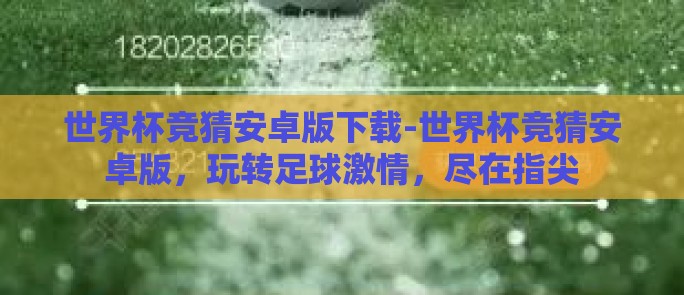 世界杯竞猜安卓版下载-世界杯竞猜安卓版，玩转足球激情，尽在指尖