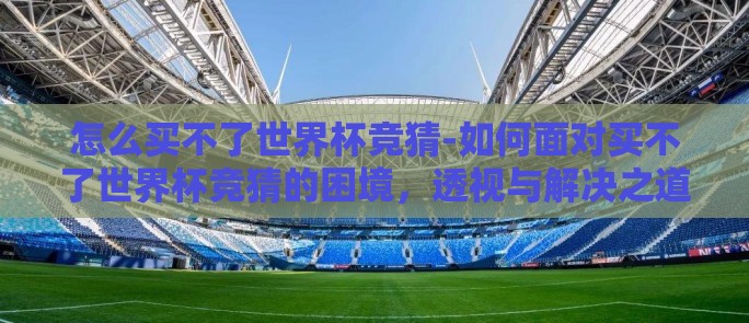 怎么买不了世界杯竞猜-如何面对买不了世界杯竞猜的困境，透视与解决之道