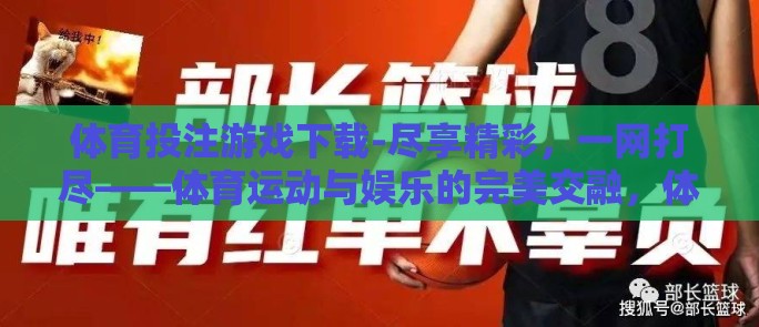 体育投注游戏下载-尽享精彩，一网打尽——体育运动与娱乐的完美交融，体育投注游戏下载指南