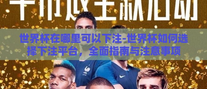 世界杯在哪里可以下注-世界杯如何选择下注平台，全面指南与注意事项