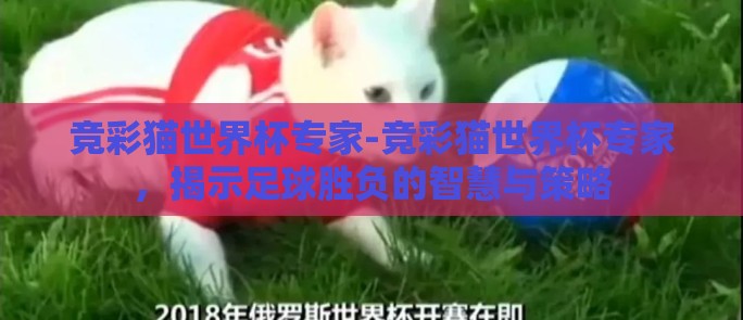 竞彩猫世界杯专家-竞彩猫世界杯专家，揭示足球胜负的智慧与策略