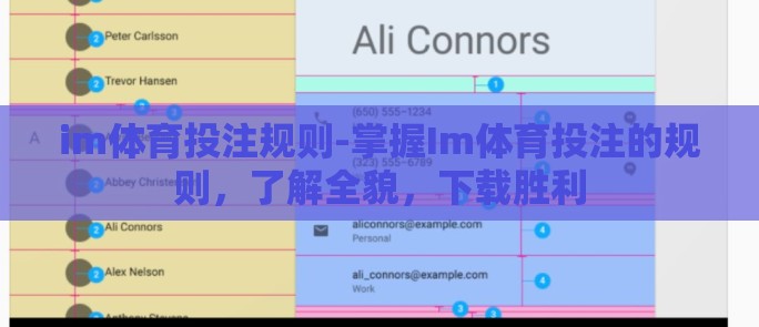 im体育投注规则-掌握Im体育投注的规则，了解全貌，下载胜利
