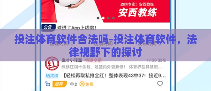 投注体育软件合法吗-投注体育软件，法律视野下的探讨
