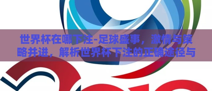 世界杯在哪下注-足球盛事，激情与策略并进，解析世界杯下注的正确途径与注意事项