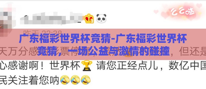 广东福彩世界杯竞猜-广东福彩世界杯竞猜，一场公益与激情的碰撞