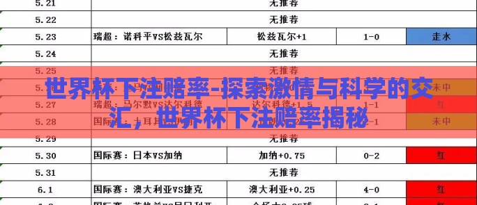 世界杯下注赔率-探索激情与科学的交汇，世界杯下注赔率揭秘