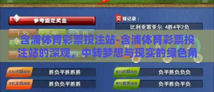 含浦体育彩票投注站-含浦体育彩票投注站的深观，中转梦想与现实的绿色角落