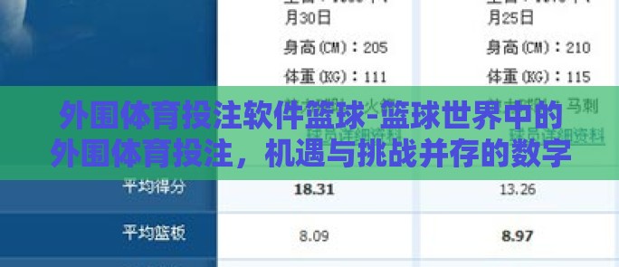 外围体育投注软件篮球-篮球世界中的外围体育投注，机遇与挑战并存的数字嬉戏