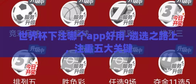 世界杯下注哪个app好用-遴选之路上，注重五大关键