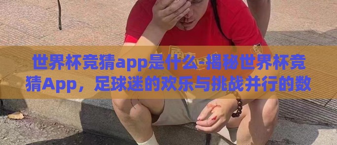 世界杯竞猜app是什么-揭秘世界杯竞猜App，足球迷的欢乐与挑战并行的数字乐园