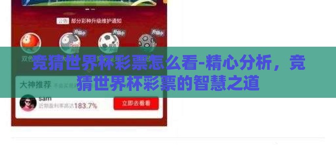 竞猜世界杯彩票怎么看-精心分析,竞猜世界杯彩票的智慧之道 竞猜世界杯彩票怎么看-精心分析,竞猜世界杯彩票的智慧之道