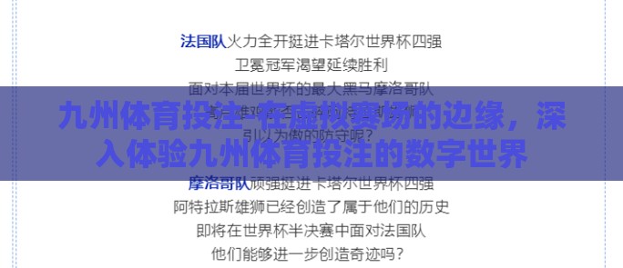 九州体育投注-在虚拟赛场的边缘，深入体验九州体育投注的数字世界