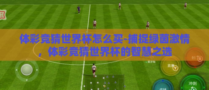 体彩竞猜世界杯怎么买-捕捉绿茵激情，体彩竞猜世界杯的智慧之选