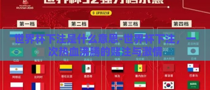 世界杯下注是什么意思-世界杯下注，一次热血沸腾的赌注与激情