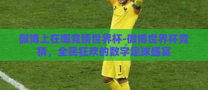 微博上在哪竞猜世界杯-微博世界杯竞猜，全民狂欢的数字足球盛宴