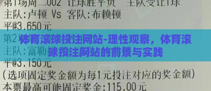 体育滚球投注网站-理性观察，体育滚球投注网站的前景与实践