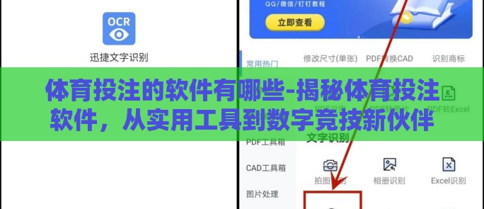 体育投注的软件有哪些-揭秘体育投注软件,从实用工具到数字竞技新伙伴 体育投注的软件有哪些-揭秘体育投注软件,从实用工具到数字竞技新伙伴