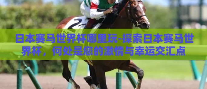 日本赛马世界杯哪里玩-探索日本赛马世界杯，何处是您的激情与幸运交汇点