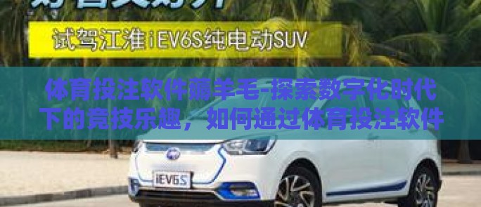 体育投注软件薅羊毛-探索数字化时代下的竞技乐趣，如何通过体育投注软件薅羊毛