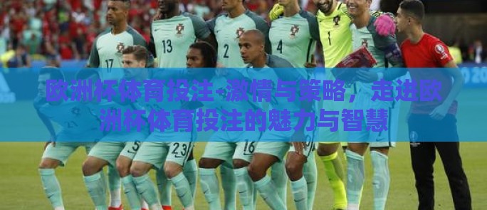 欧洲杯体育投注-激情与策略,走进欧洲杯体育投注的魅力与智慧 欧洲杯体育投注-激情与策略,走进欧洲杯体育投注的魅力与智慧