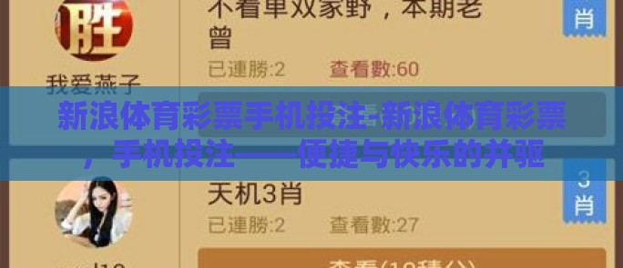 新浪体育彩票手机投注-新浪体育彩票，手机投注——便捷与快乐的并驱