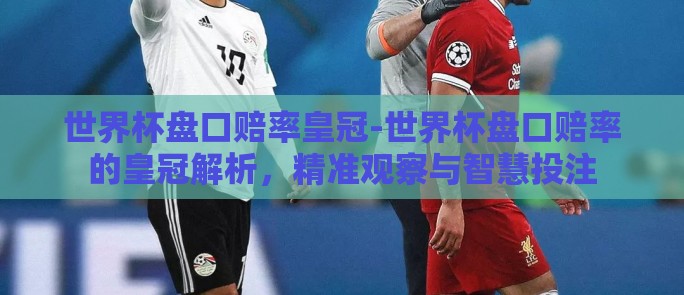 世界杯盘口赔率皇冠-世界杯盘口赔率的皇冠解析，精准观察与智慧投注