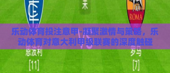 乐动体育投注意甲-凝聚激情与策略，乐动体育对意大利甲级联赛的深度触碰