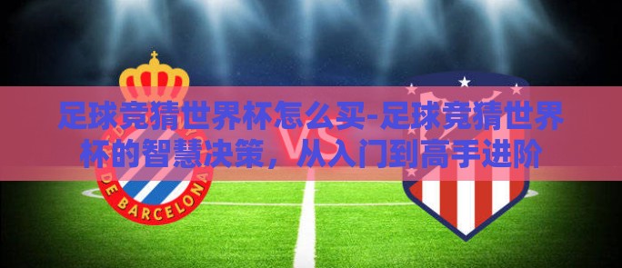 足球竞猜世界杯怎么买-足球竞猜世界杯的智慧决策，从入门到高手进阶