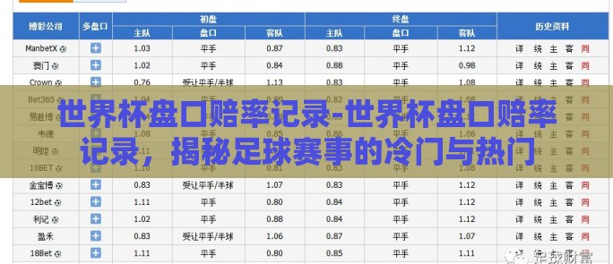 世界杯盘口赔率记录-世界杯盘口赔率记录，揭秘足球赛事的冷门与热门